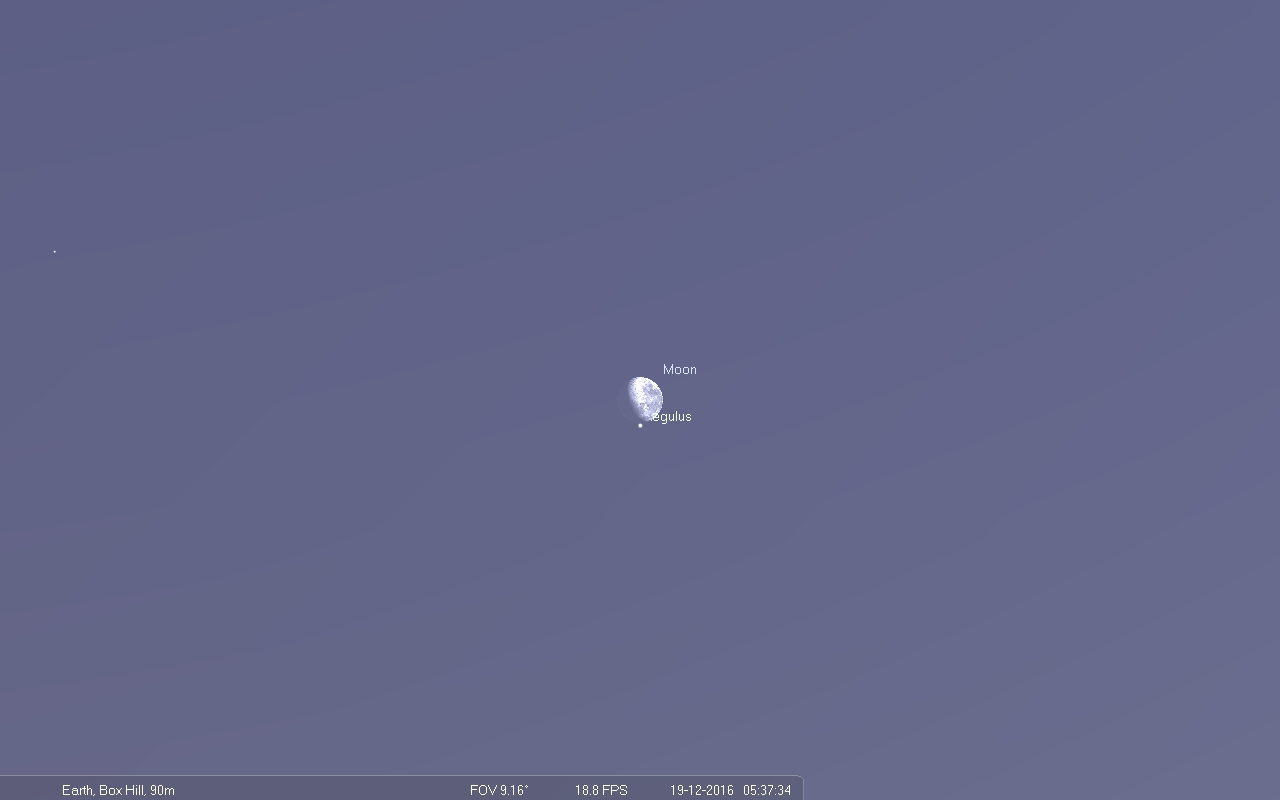 vagabond-at-regulus-gate-box-hill-image-dec19