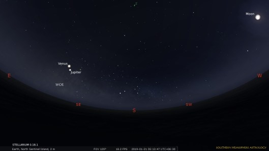 migrant miserere sentinel venus jan21